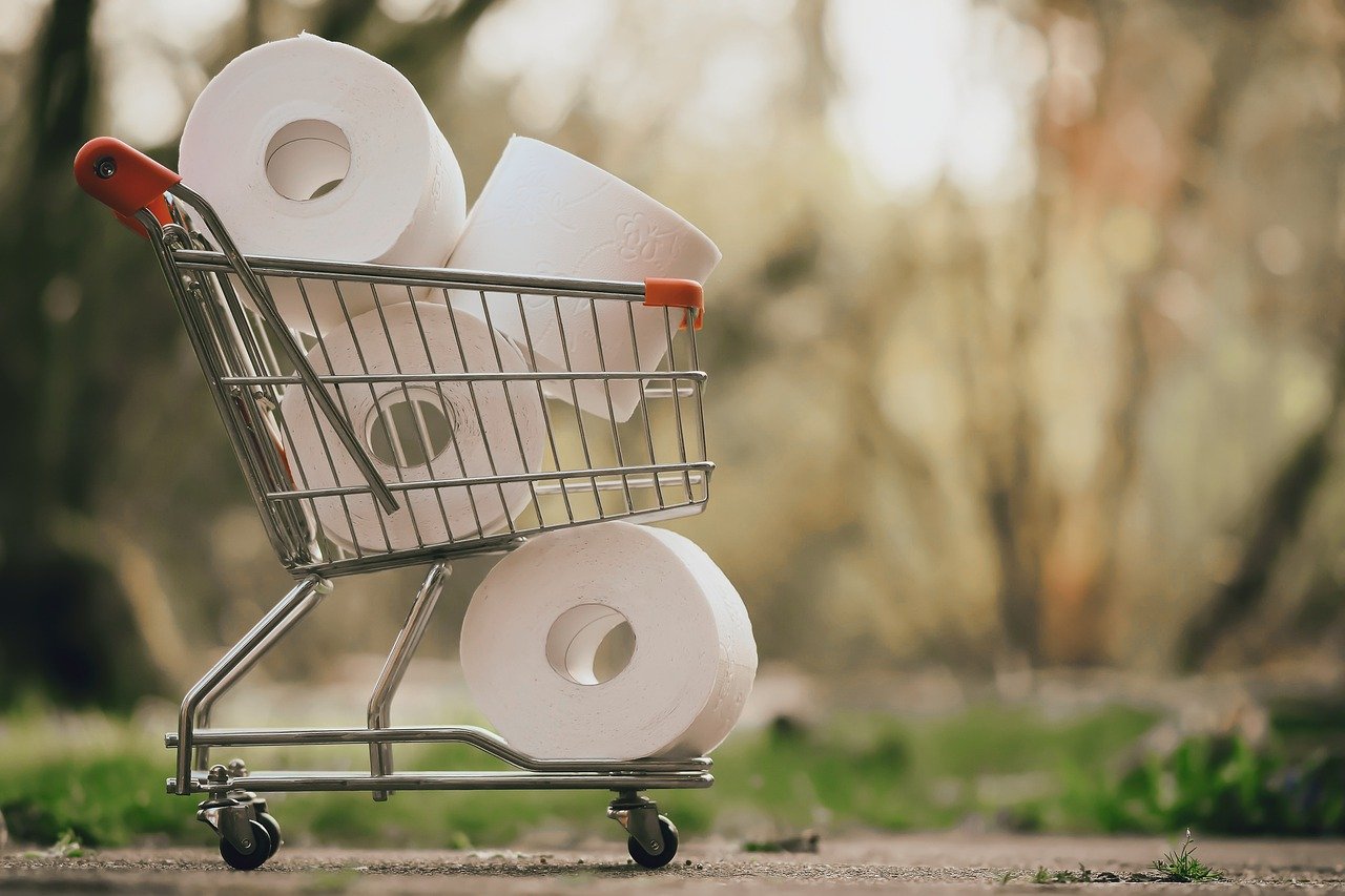 grocery cart full of toilet paper roles