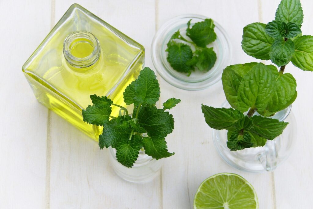 peppermint leaves with peppermint oil